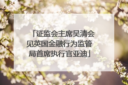 证监会主席吴清会见英国金融行为监管局首席执行官亚迪